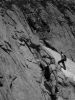 DSCN8617.jpg