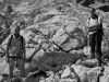 DSCN8621.jpg