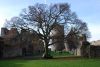 DSC_3638.jpg