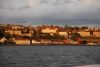 DSC_3391.jpg