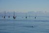 DSC_3527.jpg