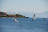 DSC_3547.jpg