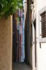 DSC_5964.jpg