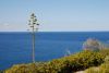 DSC_2919.jpg
