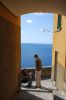 DSC_2956.jpg