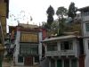 DSCN7529.jpg