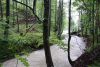 DSC_7657.jpg
