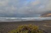 DSC_0173.jpg
