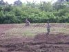 DSCN9019.jpg