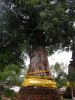 DSCN9348.jpg