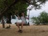 DSCN9461.jpg