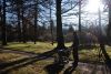 DSC_0914.jpg