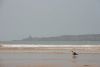 DSC_2069.jpg