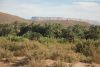 DSC_2476.jpg