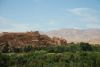 DSC_2484.jpg