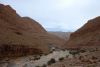 DSC_2619.jpg