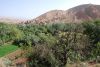 DSC_2662.jpg