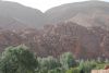 DSC_2664.jpg