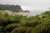 DSC_0142.jpg