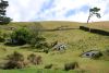 DSC_0174.jpg