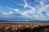 DSC_0385.jpg