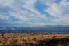 DSC_0386.jpg