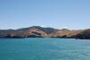 DSC_0474.jpg