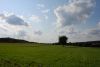 DSC_2829.jpg