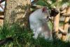 DSC_2853.jpg