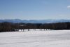 DSC_6562.jpg