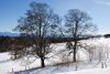DSC_6611.jpg