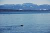 DSC_6619.jpg