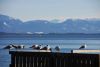 DSC_6621.jpg