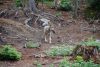 DSC_2178.jpg