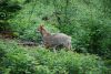 DSC_2179.jpg