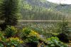 DSC_2239.jpg