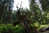 DSC_2245.jpg