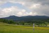 DSC_2261.jpg
