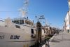 DSC_4439.jpg