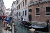 DSC_4513.jpg