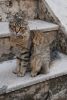 DSC_1634.jpg