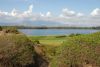 DSC_1729.jpg